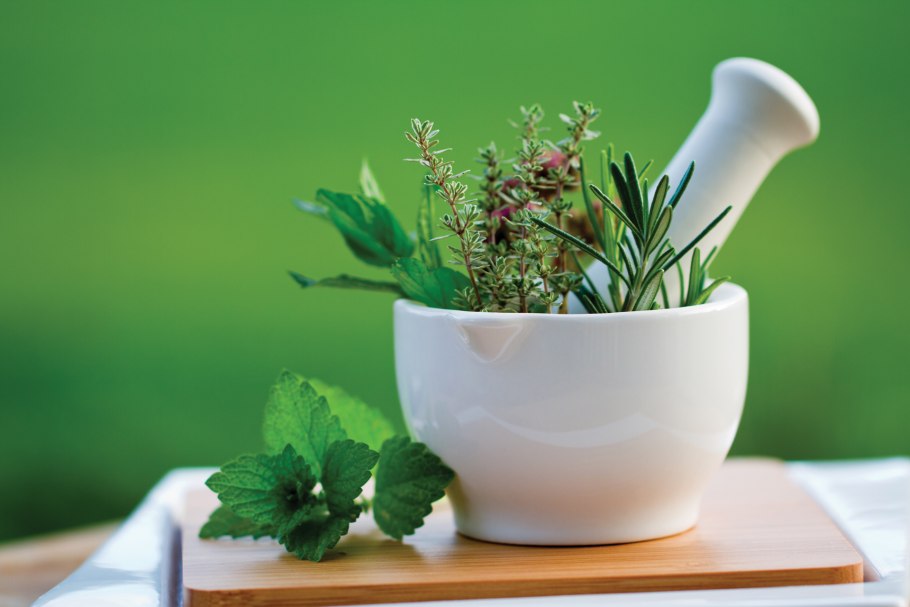 Пряные травы в горшках