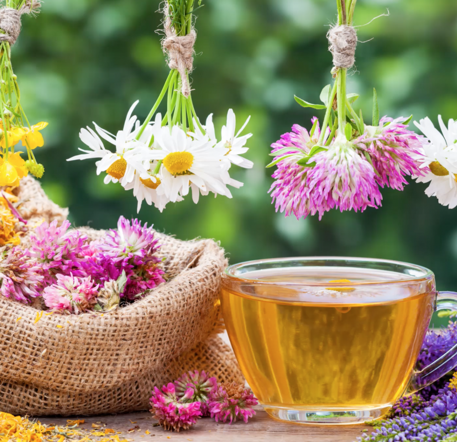 Лекарственное средство овощь