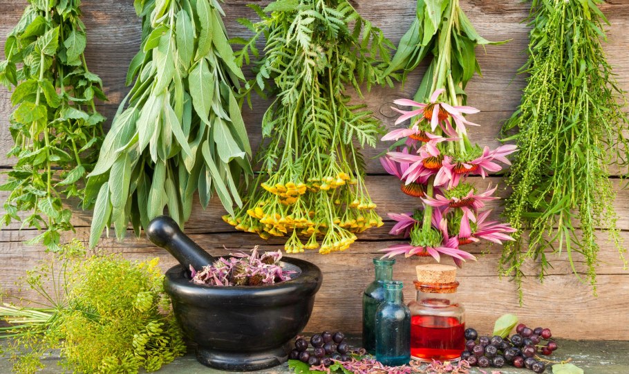 Лекарственные травы