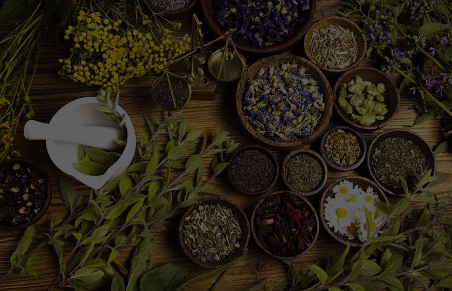 Бриофиллум Дегремона