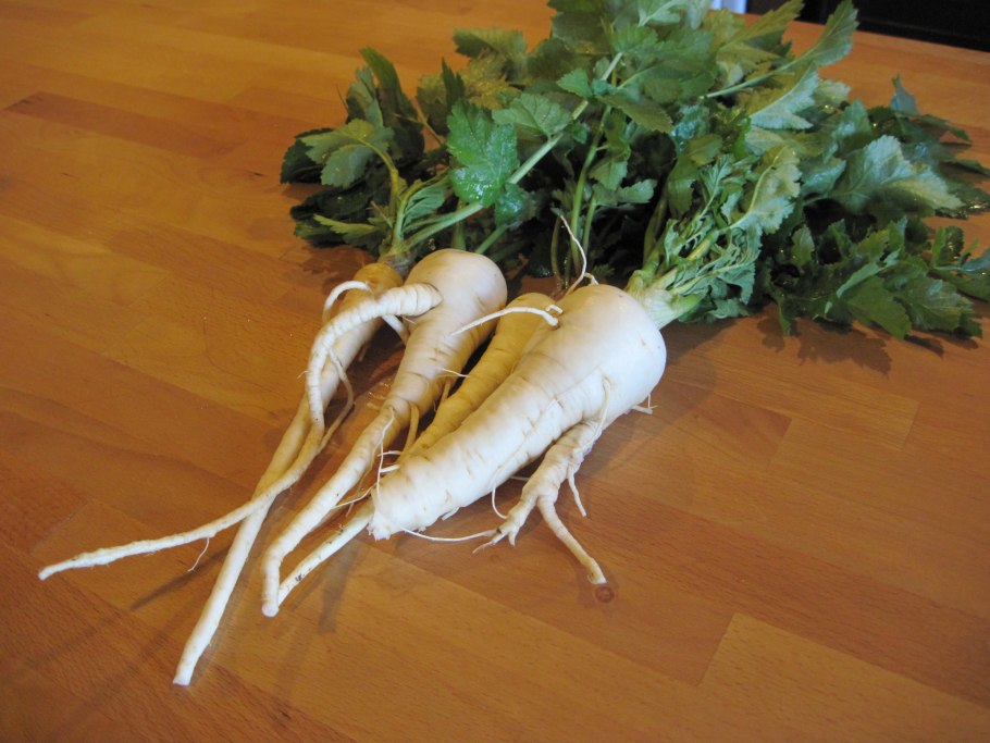 Пастернак растение блюдо