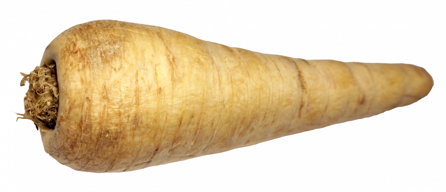 Пастернак фрукт