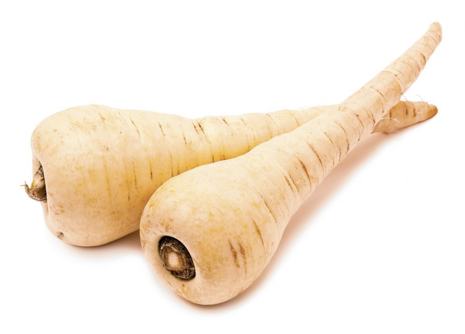 Пастернак корнеплод