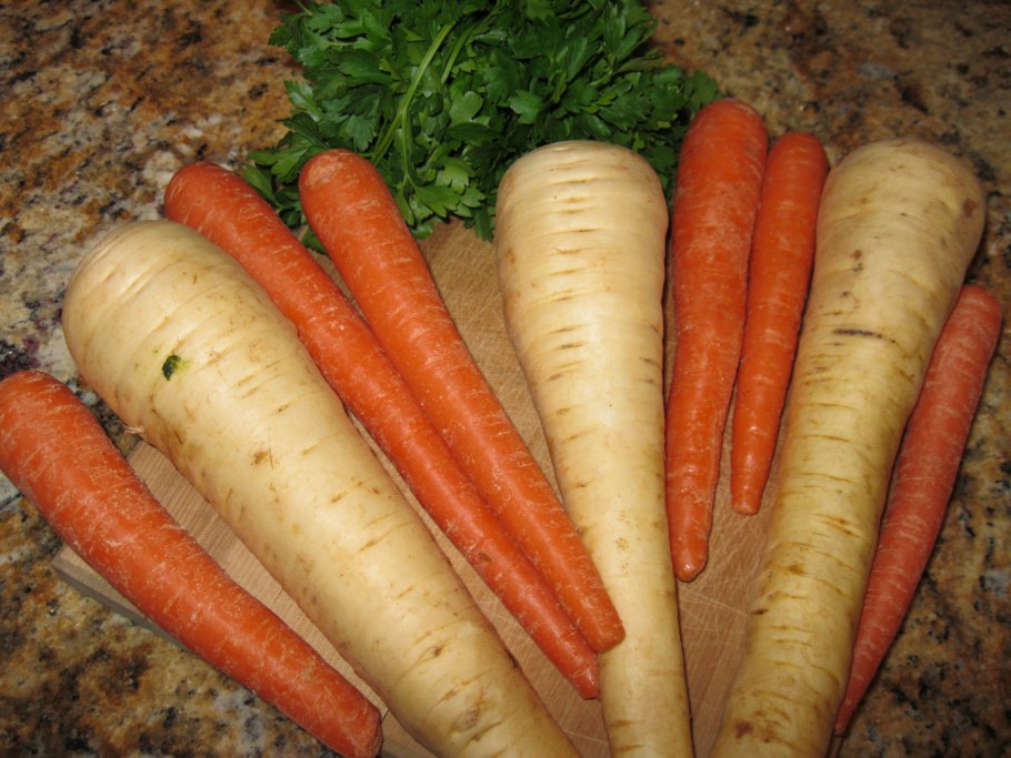 Посевной корень