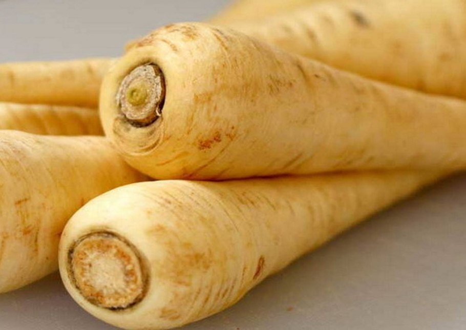 Пастернак корнеплод