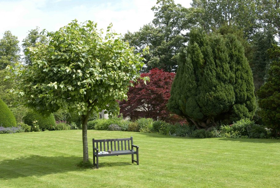 Малоуходный плодовый сад