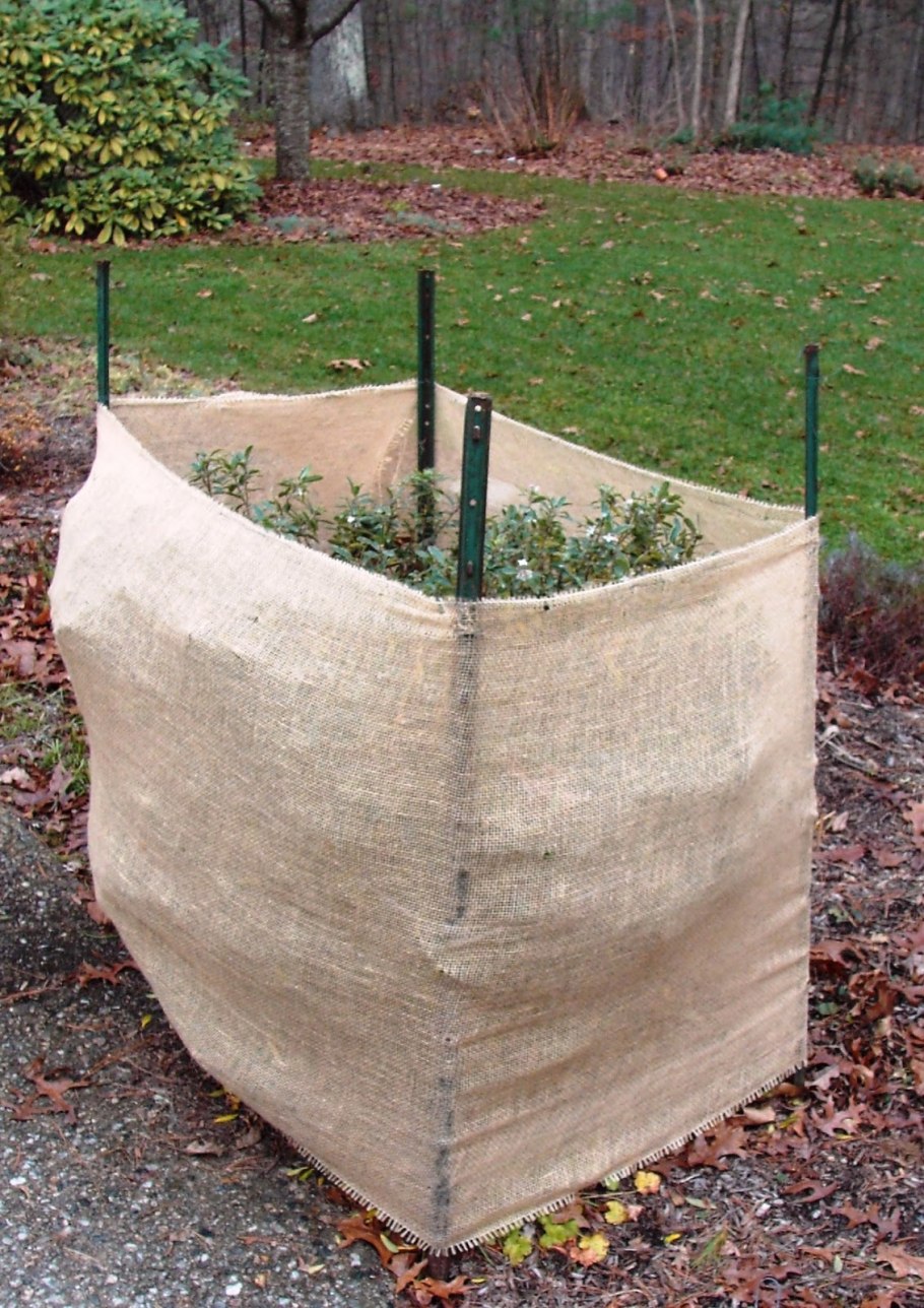 Укрытия для кустов и деревьев