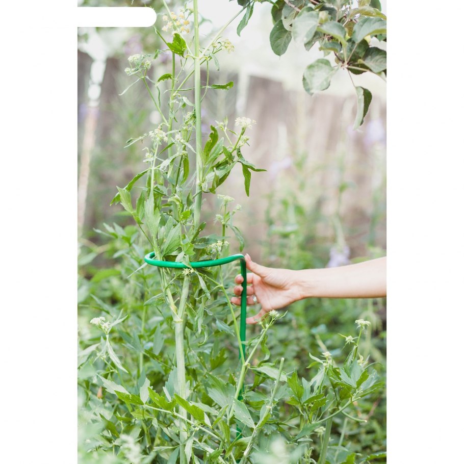 Садовое кольцо клубника опора для ягодных кустарников