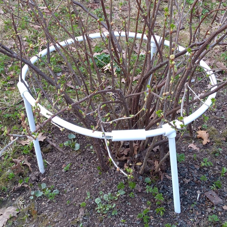 Кустодержатель d650мм (16709)