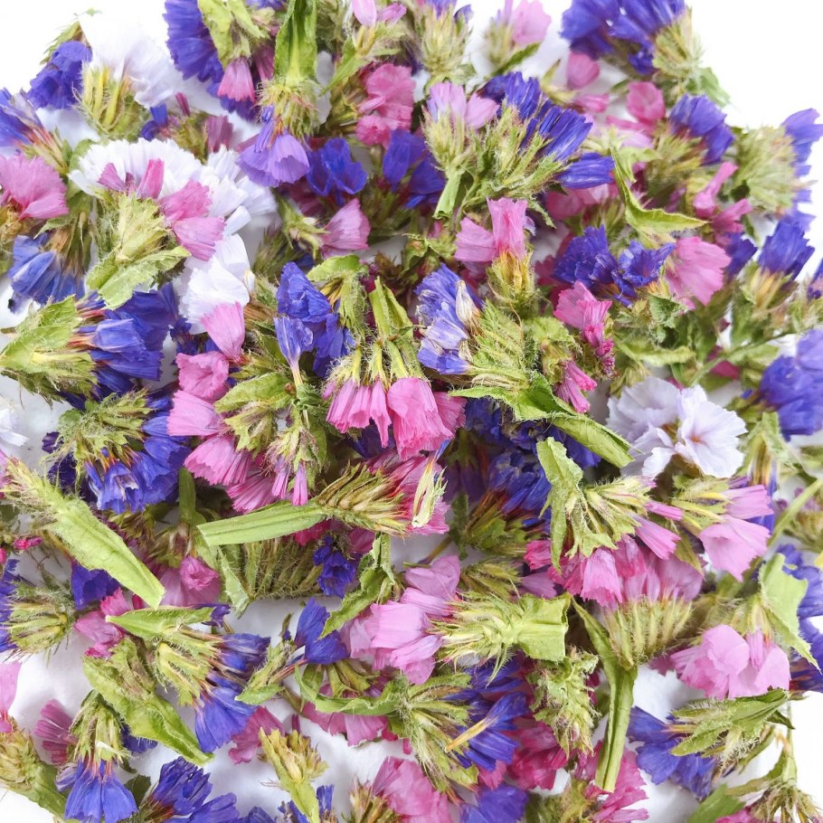 Статица фото цветов многолетний