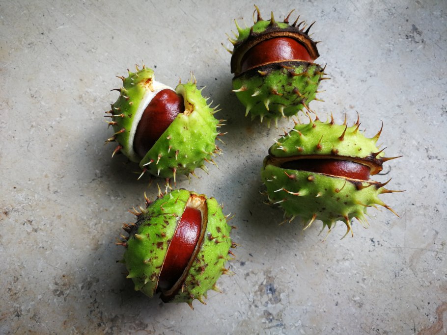 Экзотическая ягода личи