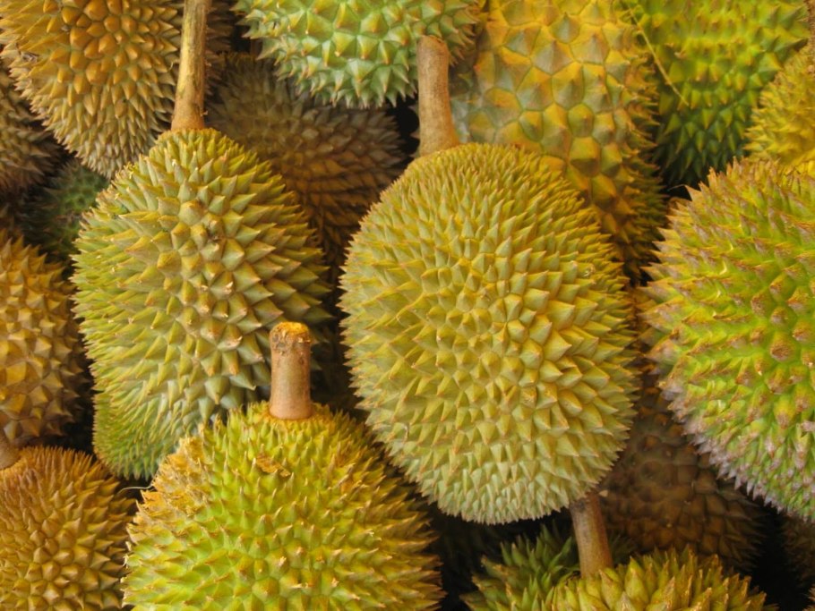 Плод дуриан