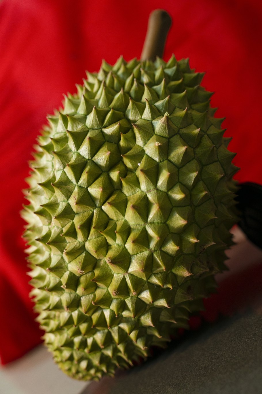 Кивано/рогатая дыня