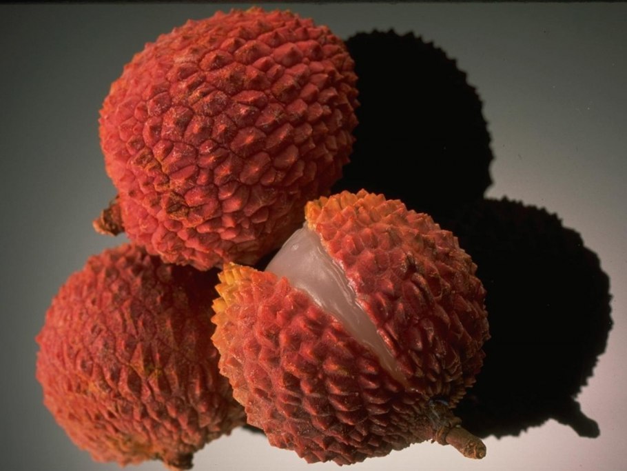 Фрукт похожий на дуриан