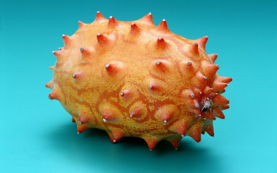 Фрукт с шипами