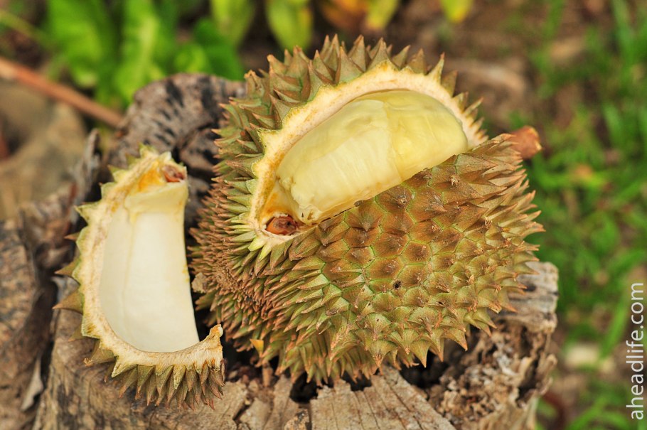 Рамбутан фрукт