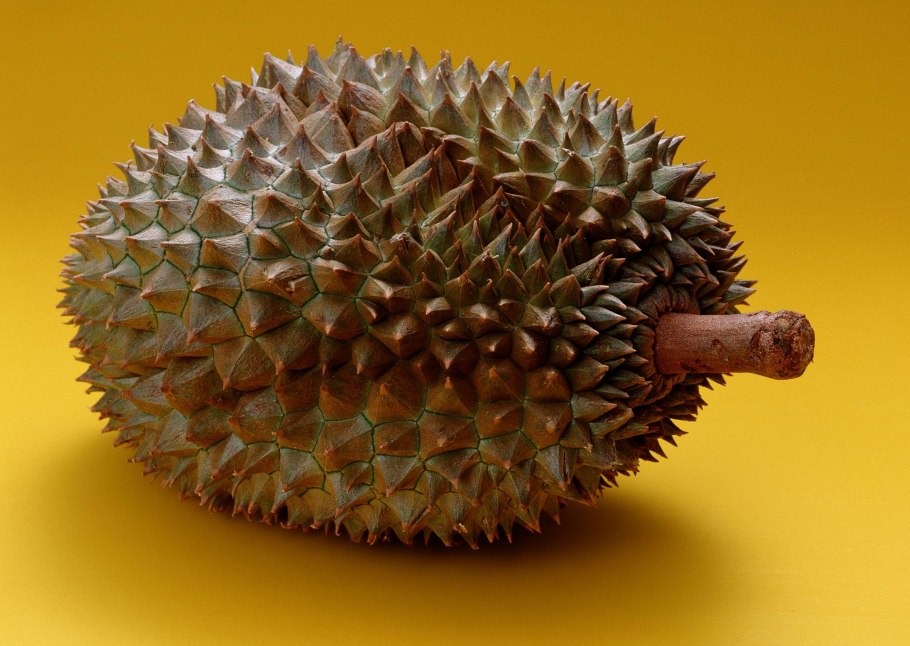 Дуриан (Durian) большое
