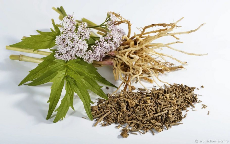 Валериана лекарственная корневище