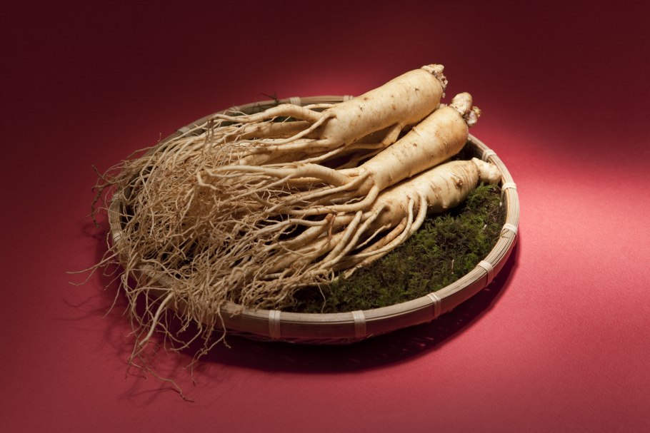 Panax Ginseng женьшень Seeds