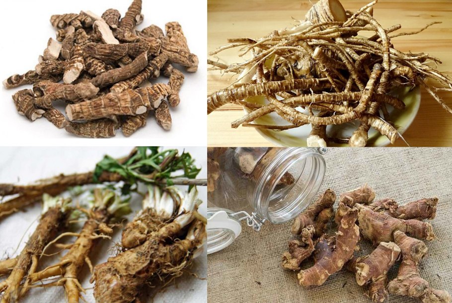 Лечебные корни