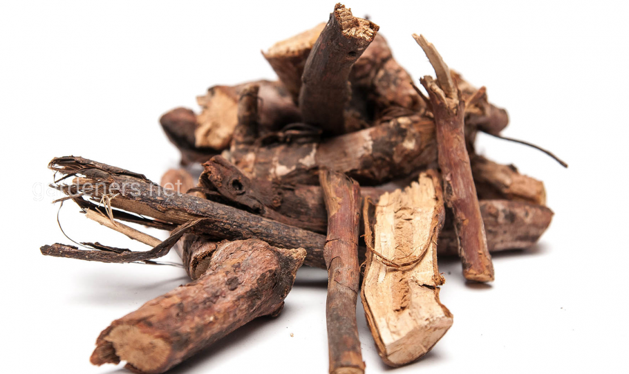 Девясила высокого корневища и корни сырье