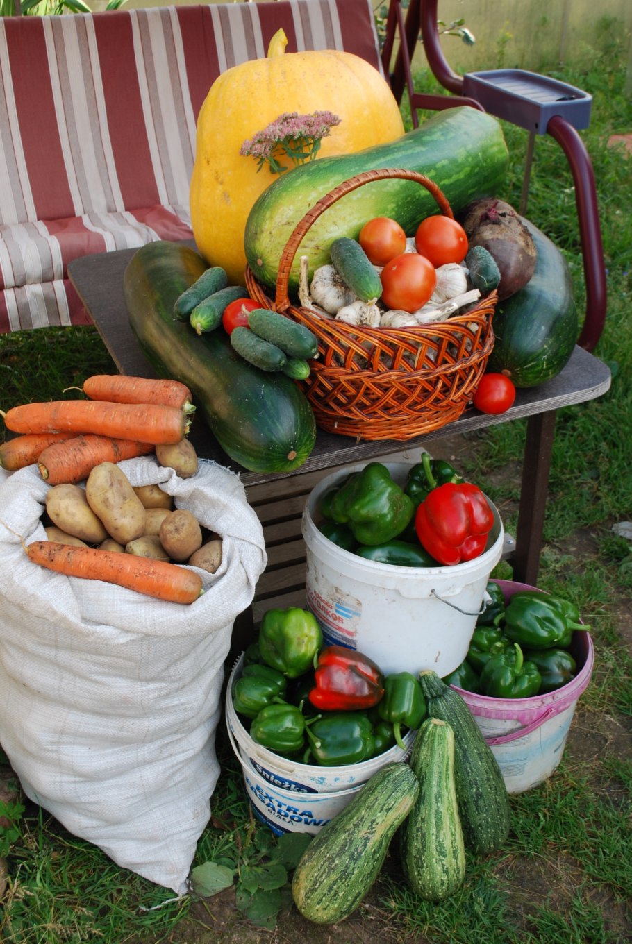 Дачный урожай