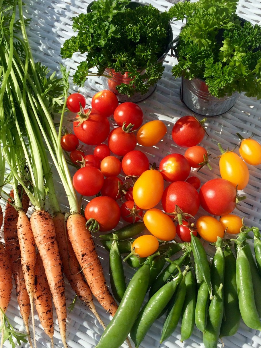 Овощи на грядке