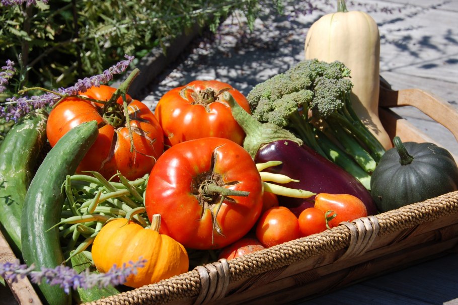 Овощи на огороде