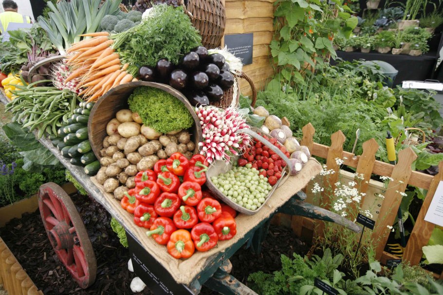 Сад и огород