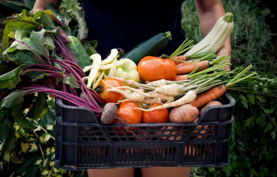 Фермерские овощи