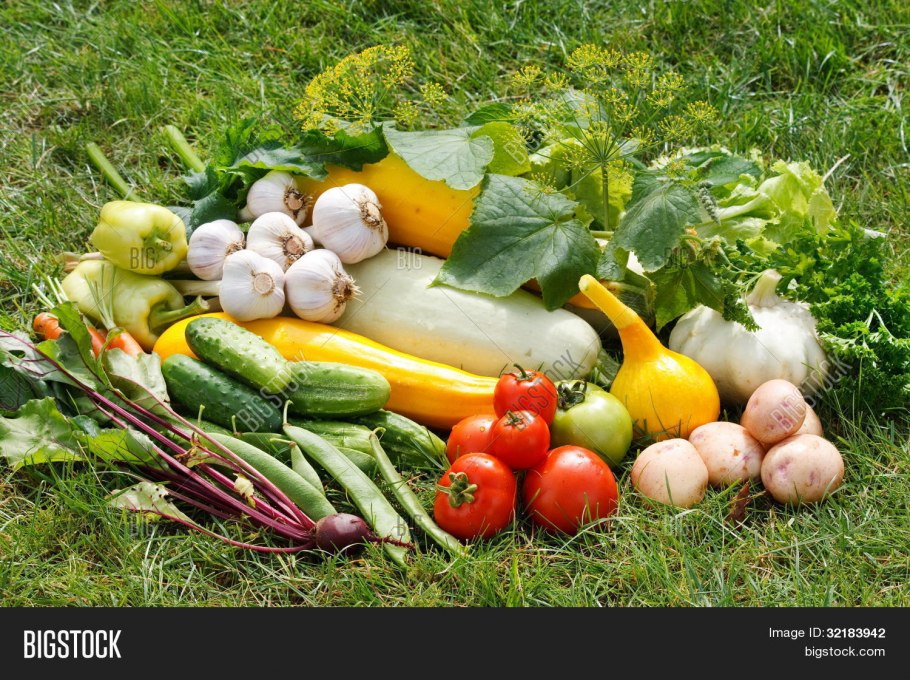 Урожай с огорода