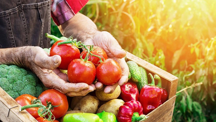 Хороший урожай