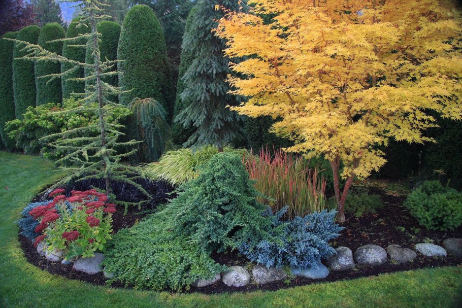 Хвойные сады Яна сламы