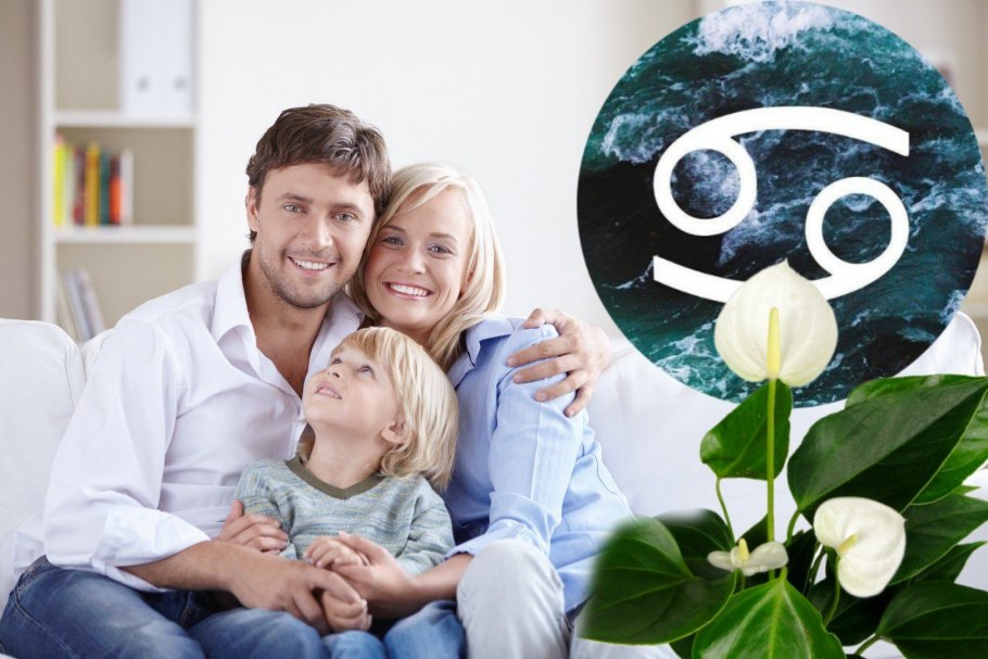 Антуриум Андрианум