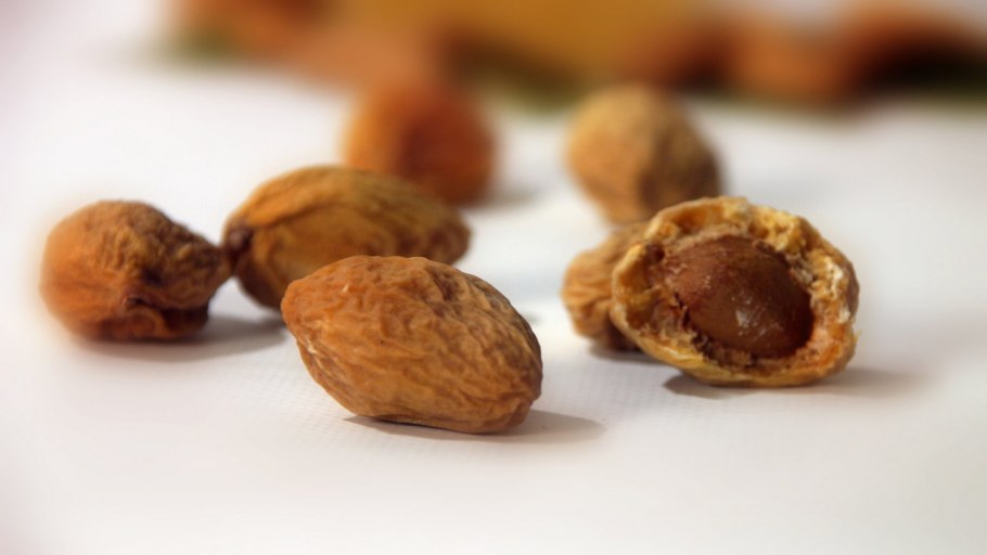 Урюк сахарный