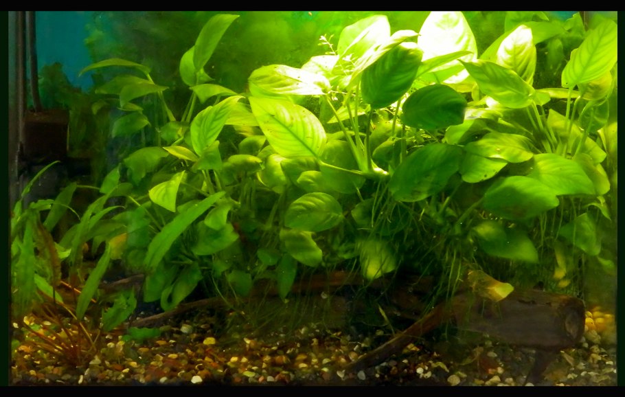 Мир аквариума Оренбург