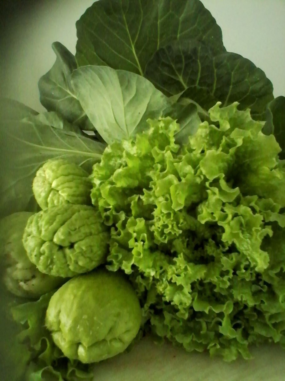 Овощ зеленый