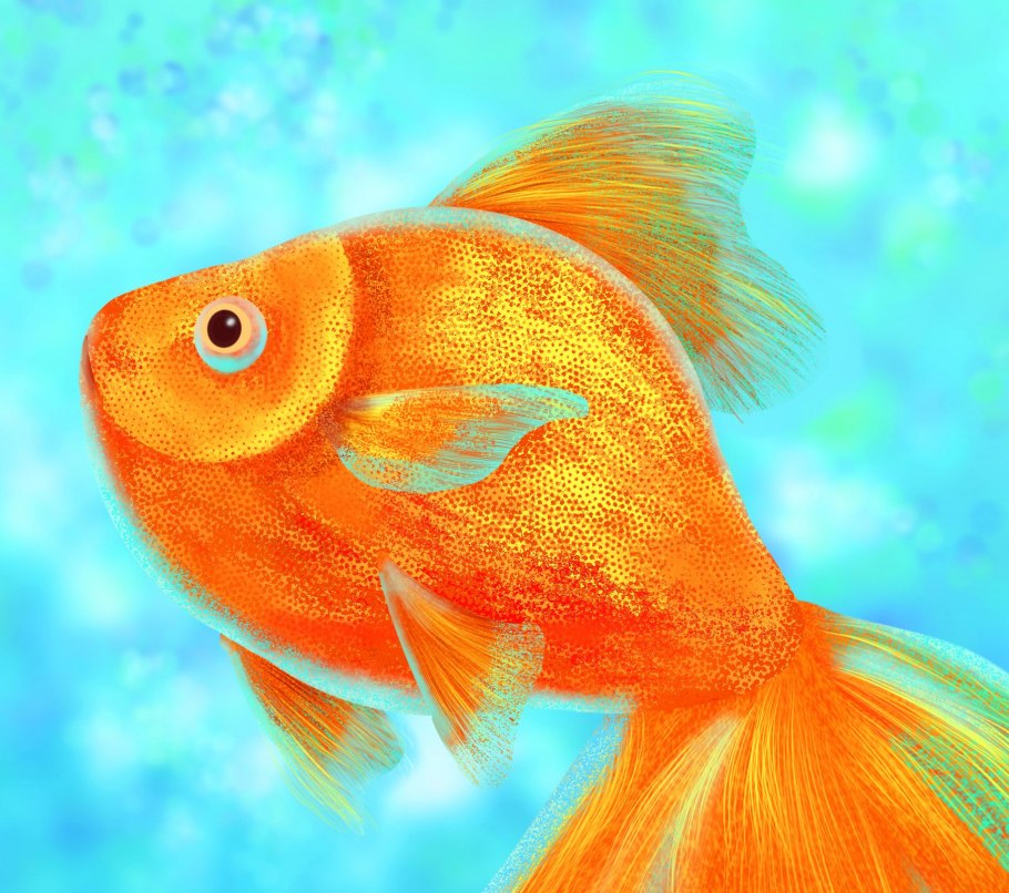 Золотые рыбки фен шуй