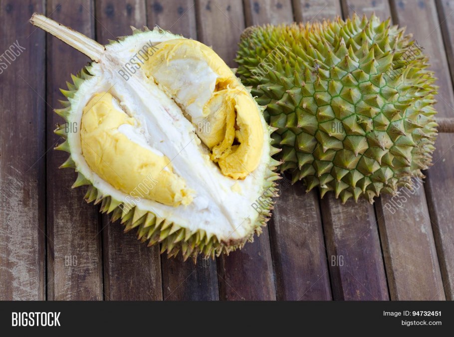 Дуриан цибетиновый