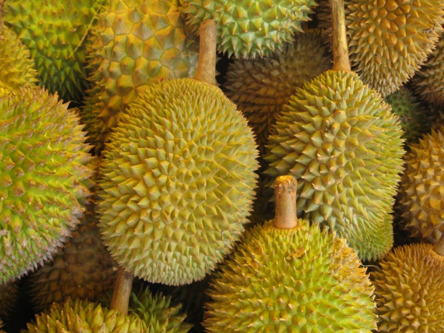 Экзотический фрукт дуриан