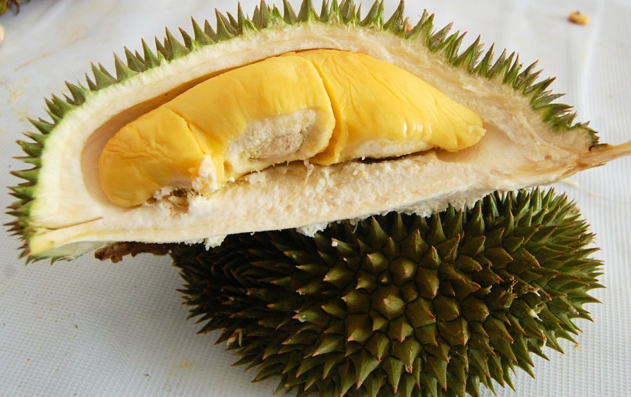 Дуриан красный