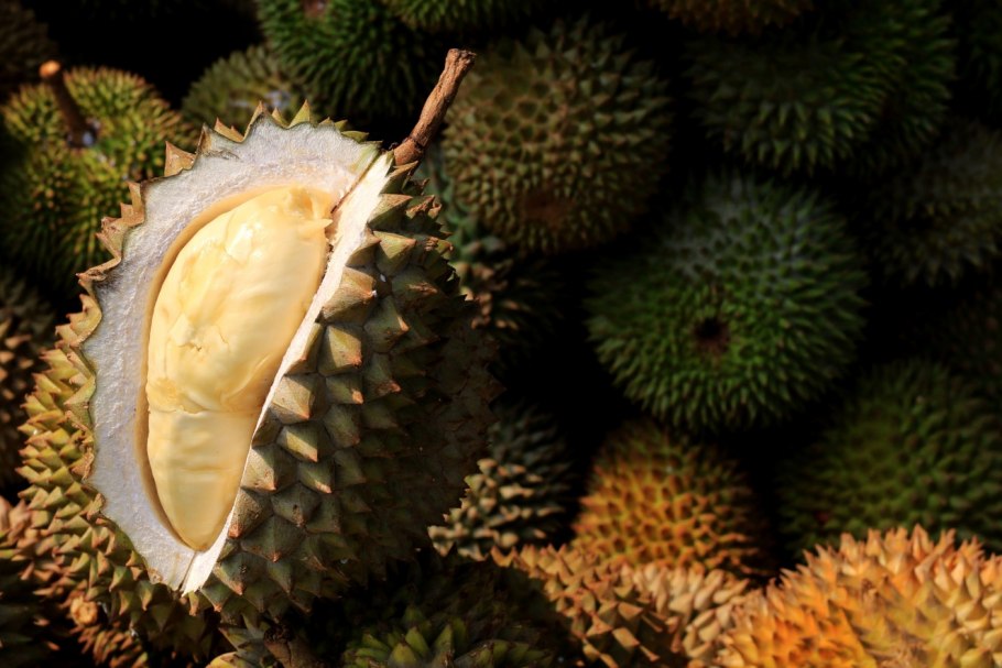 Дуриан фрукт