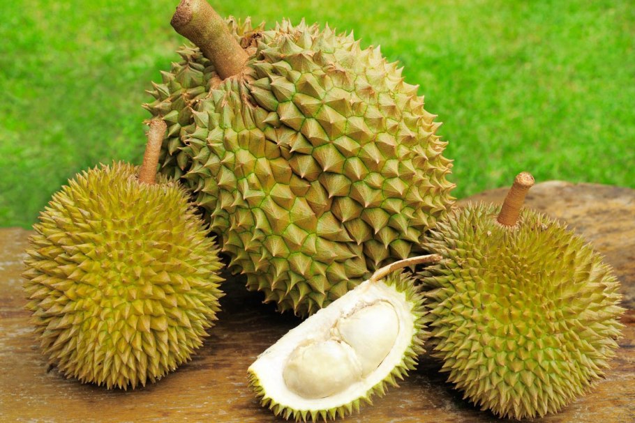 Дуриан цибетиновыи