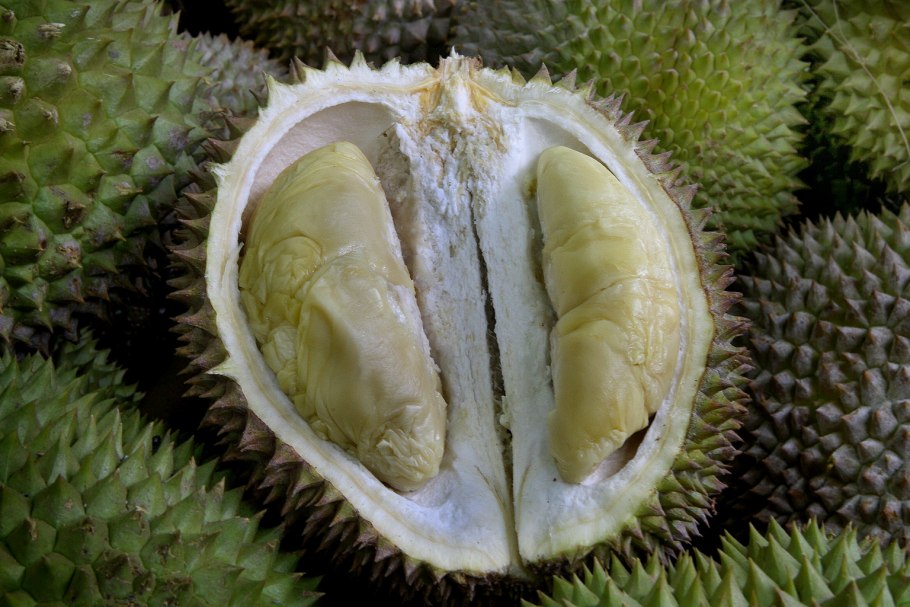 Дуриан на Занзибаре