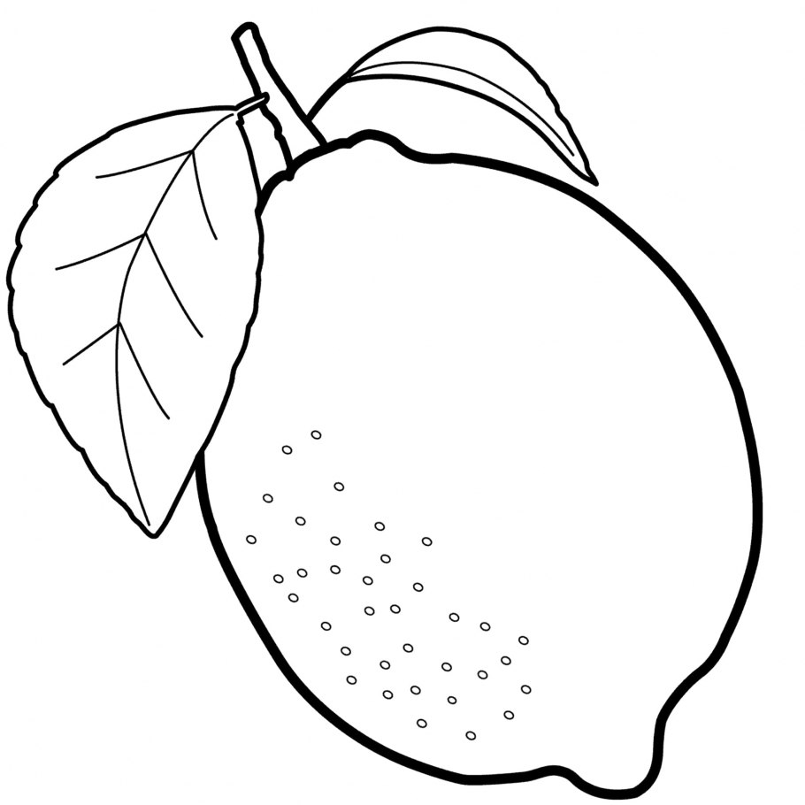 Натюрморт с фруктами для детей раскраска