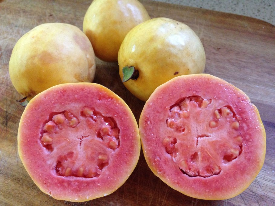 Гуава салатовая