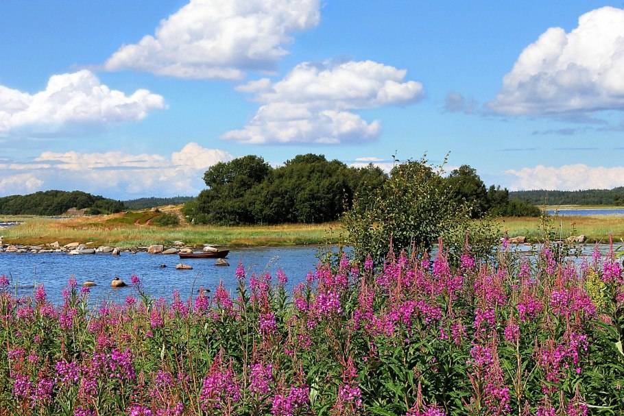 Луга Костромской области