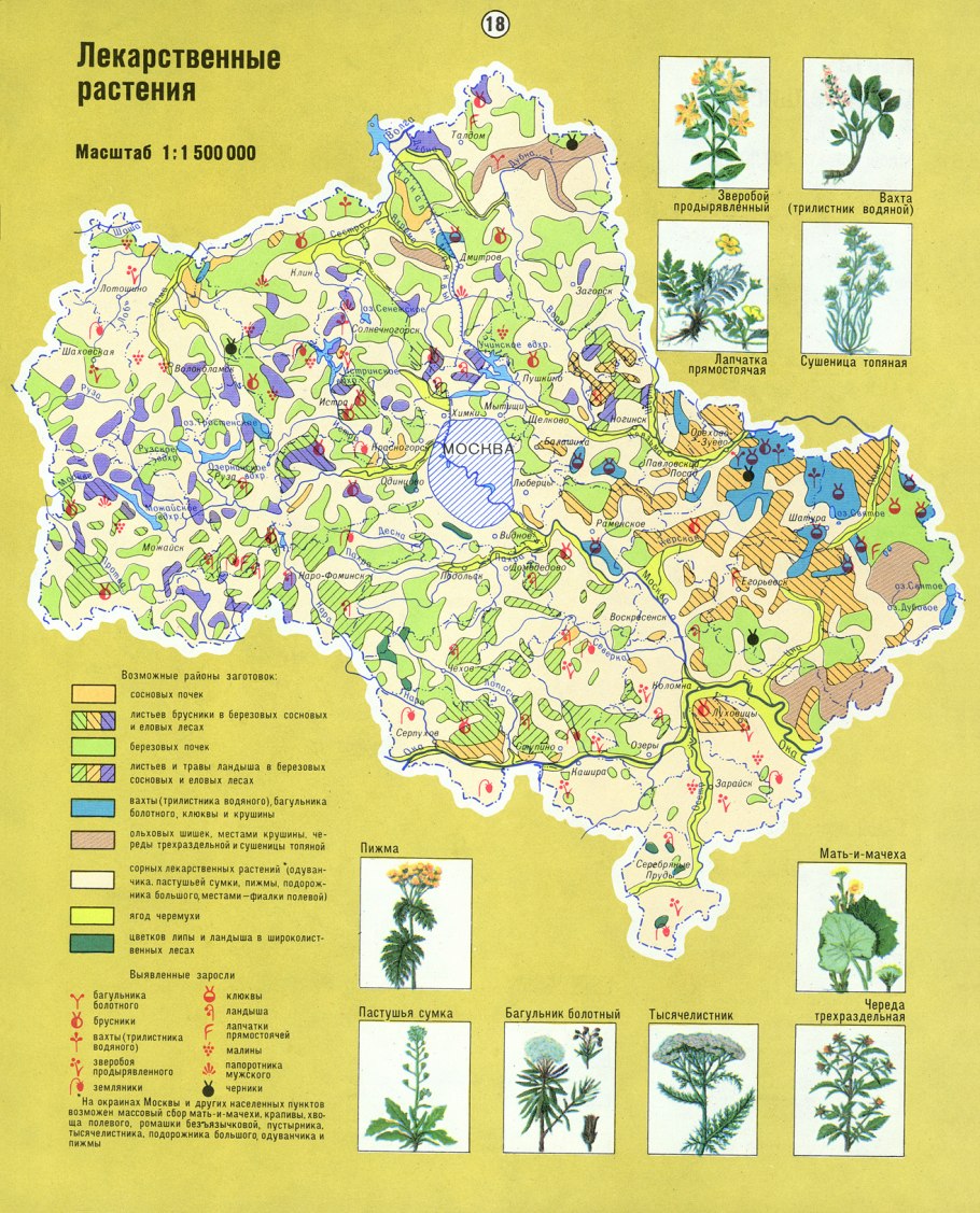 Животный мир Московской области карта