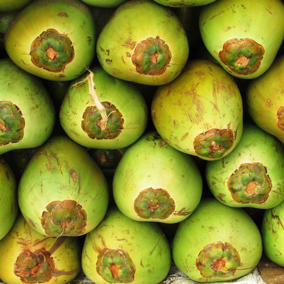 Гуава цветок