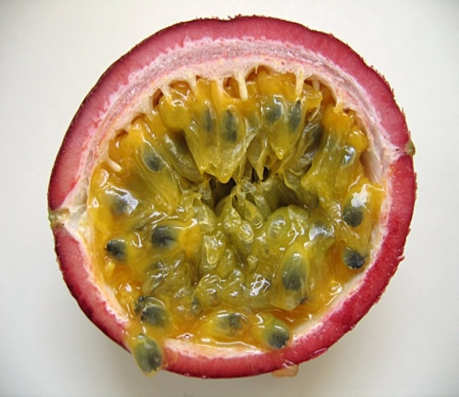 Гранат сокотранский